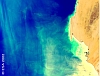 Upwelling near the coast of Mauritania taken with the MERIS instrument on board Envisat