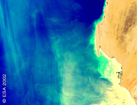 Upwelling near the coast of Mauritania taken with the MERIS instrument on board Envisat