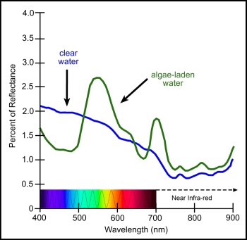 Percent reflectance of blue and green water