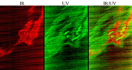 IR,UV and combined images