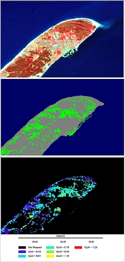 Landsat TM image of the Skagen area of Denmark and maps of grassland in this area