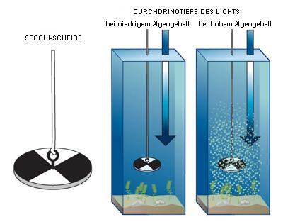 Secchi-Scheibe