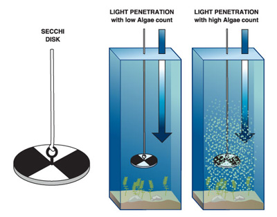 Secchi Disk