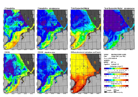 Water quality parameters derived from MERIS