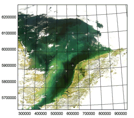 True Colour SeaWiFS image