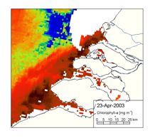 Algal bloom