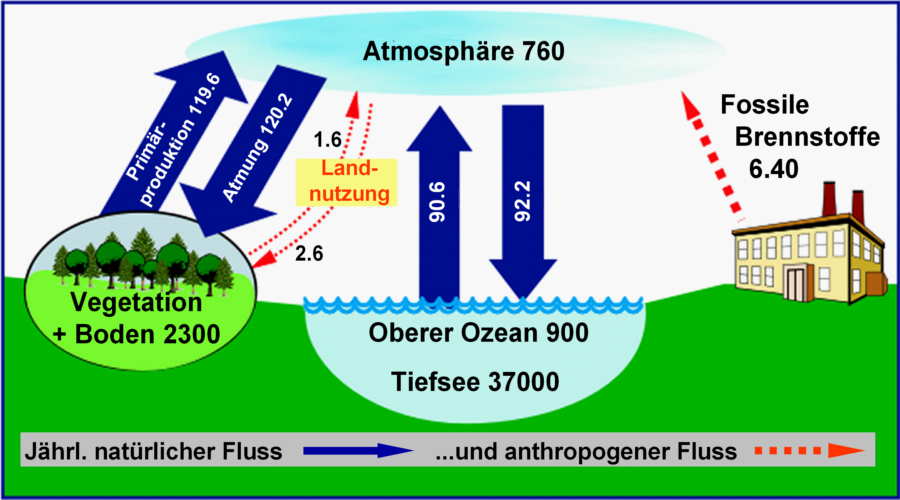 Global Carbon Cycle