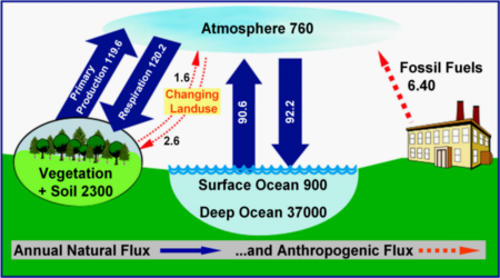 Global Carbon Cycle