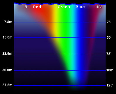 Light penetration