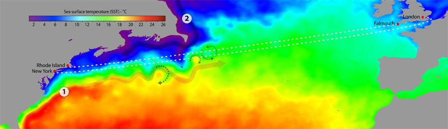 map of sst with ship routes