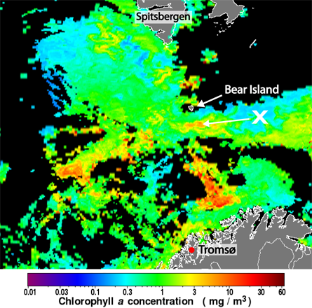 MODIS chorophyll