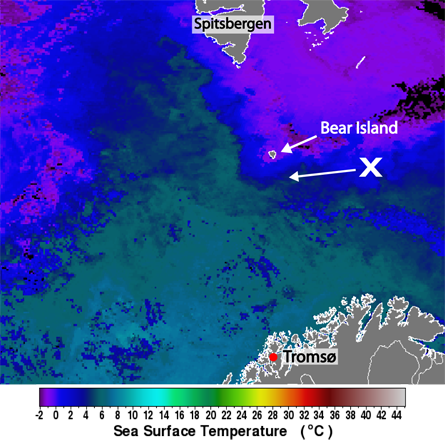 MODIS SST