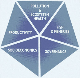 Diagram showing the different aspects addressed by the LME programmes