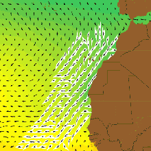 Canary Current temperature and current velocity