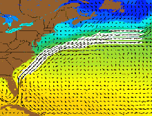 Gulf stream temperature and current velocity