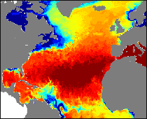 Ocean current forecast from Mercator