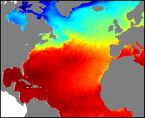 Ocean current forecast from Mercator