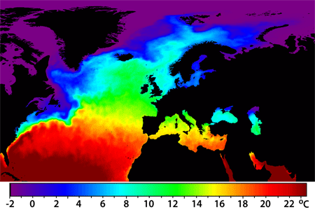 Atlantic SST