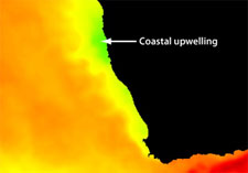 Opwelling langs de kust