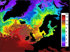 SST-Karte mit dem warmen Nortatlantikstrom und seinen Ausläufern in die Arktis - der Norwegenstrom und der Westspitsbergen. 