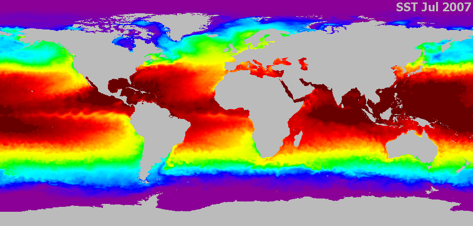 Global SST map July 2007