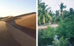 Namib desert dunes compared to lush palm forests in Mozambique.