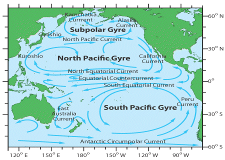 Pacific gyres