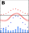 Temperatur- und Niederschlagsmuster B