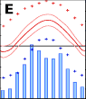 Temperatur- und Niederschlagsmuster E