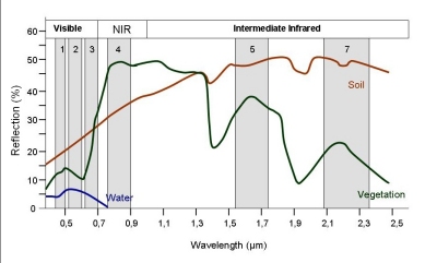 Emissions of different bodies