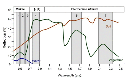 Emissions of different bodies