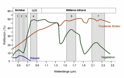 Reflectance of different bodies