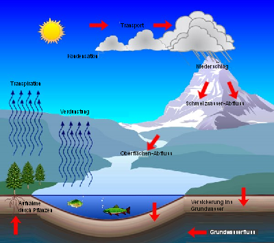 Water Cycle