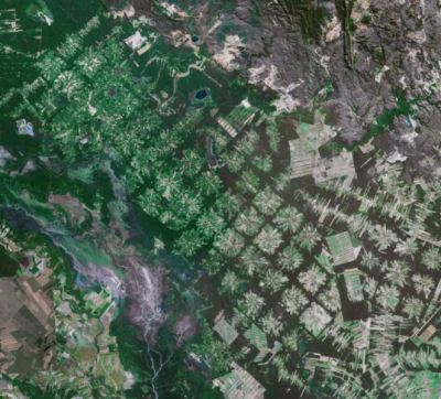 Deforestation in Bolivia