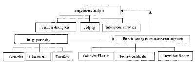 Classification and Extraction Model