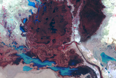 Mesopotamia marshes, 1973