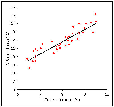 Soil line between red and near infrared reflectance