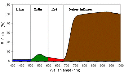 Vegetation spectral siganture