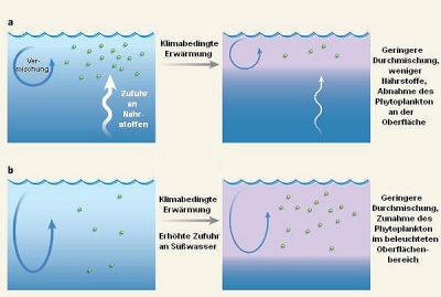 Planktonverhalten im Klimawandel