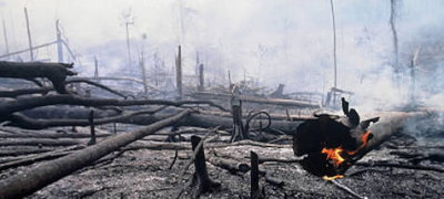 Deforestation in Indonesia